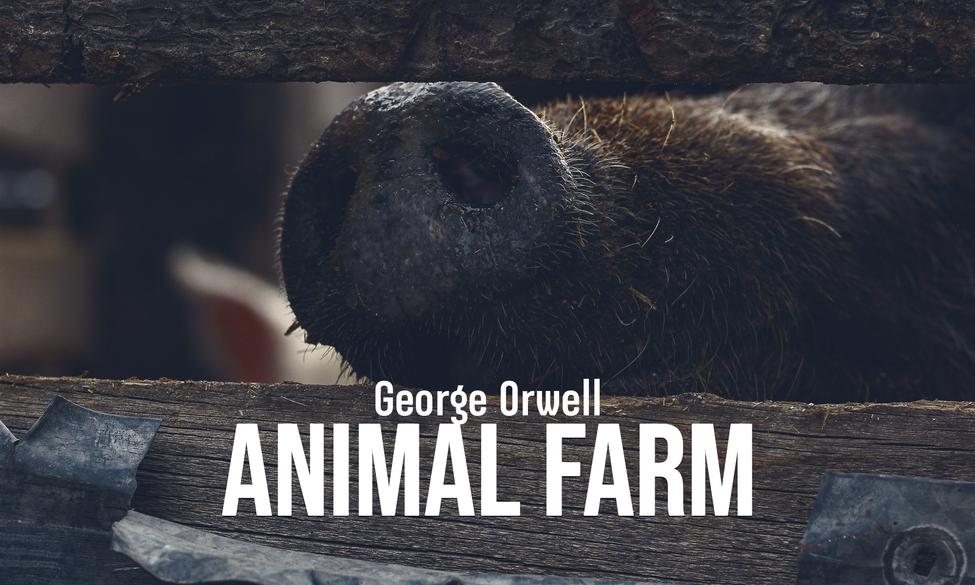 Animal Farm – ฟาร์มสัตว์ของ จอร์จ ออร์เวลล์